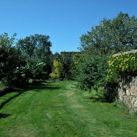 Lägenhet Onigal El Raso